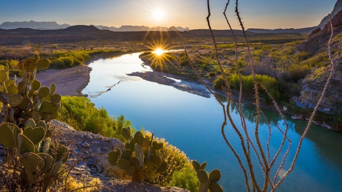 Big Bend National Park Hosts More Bird Species Than Any Other U.S. National Park—Here’s Why That Matters